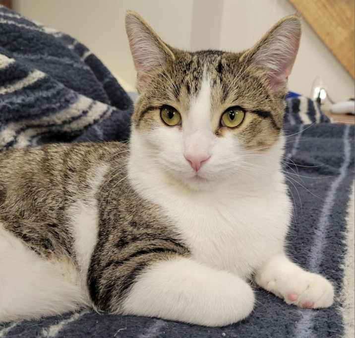 Photo of Salem