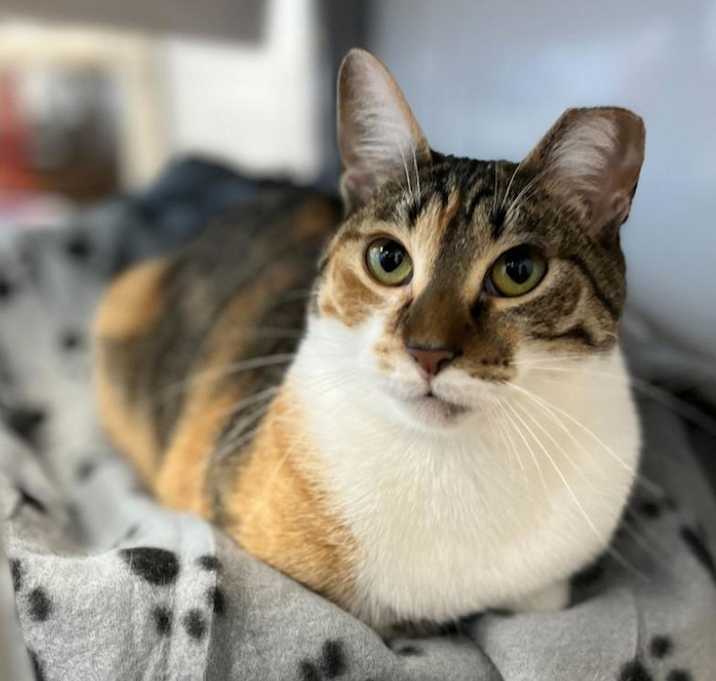 Photo of Ruby