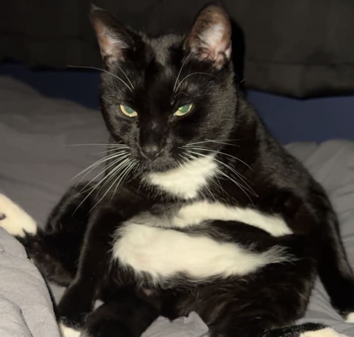 Photo of Beebee