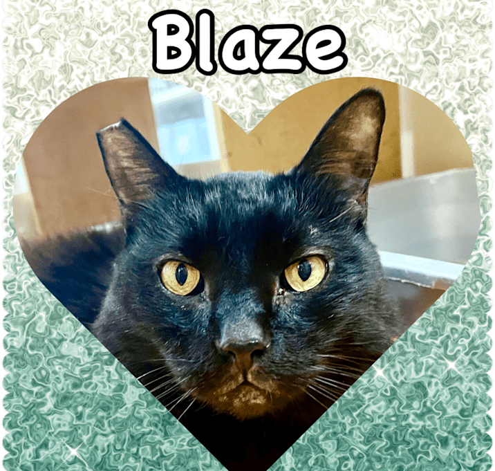 Photo of Blaze