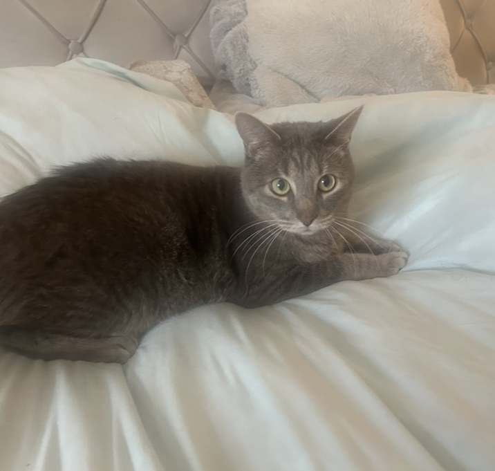 Photo of Smokey