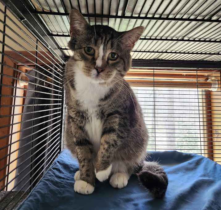 Photo of Indy