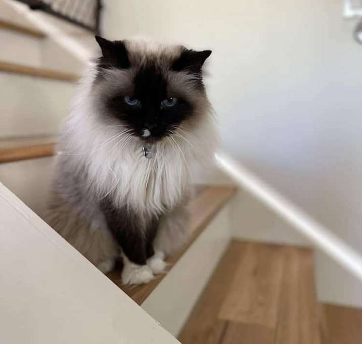 Photo of Marge