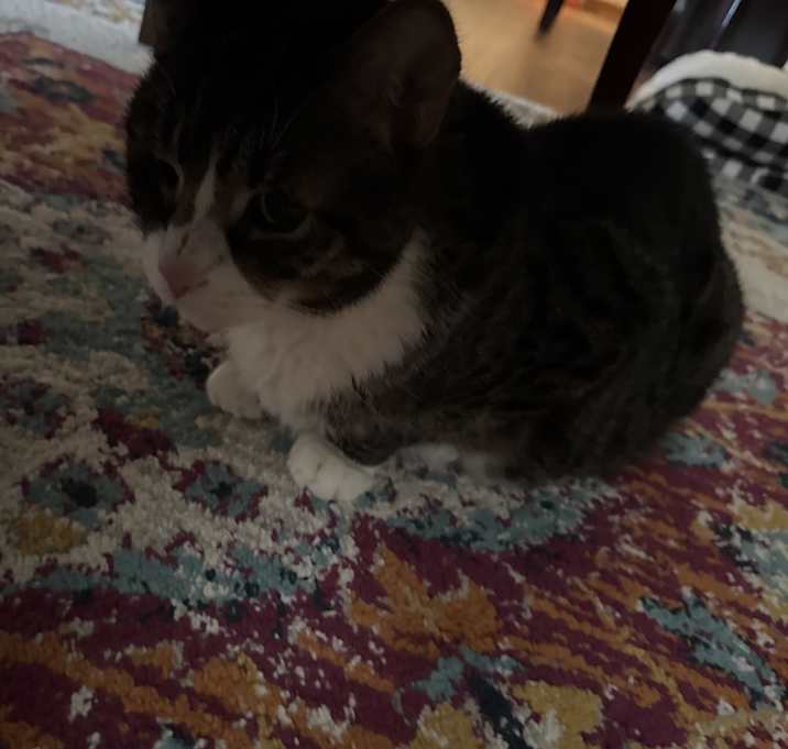 Photo of max