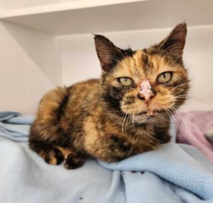 Photo of Wednesday