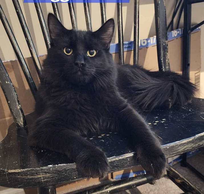 Photo of Reggie