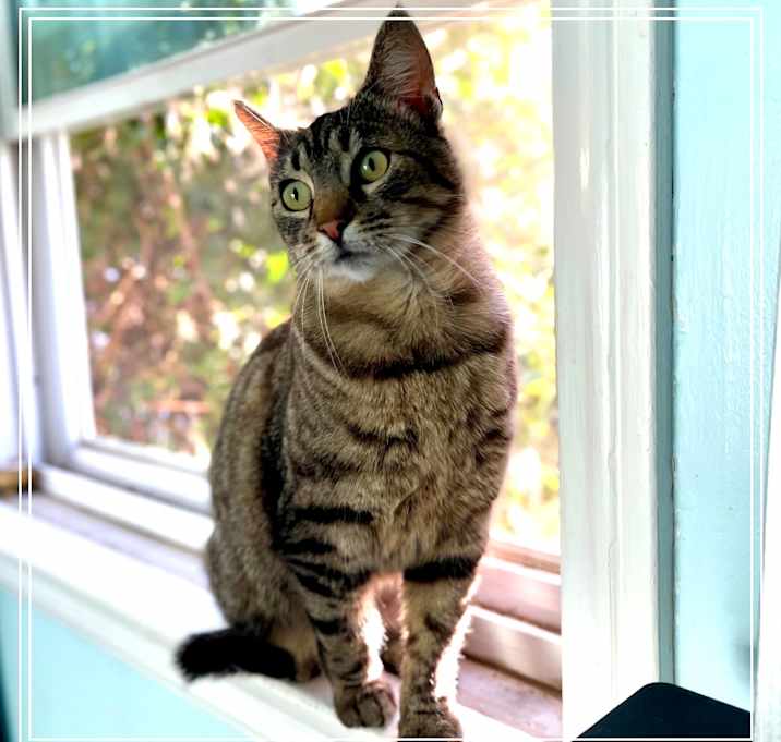 Photo of Munchie