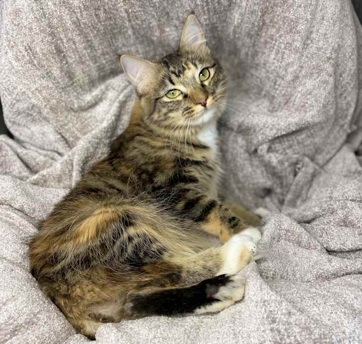 Photo of Alani