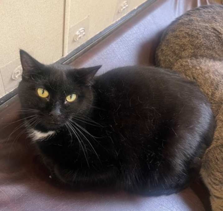 Photo of Porch Baby