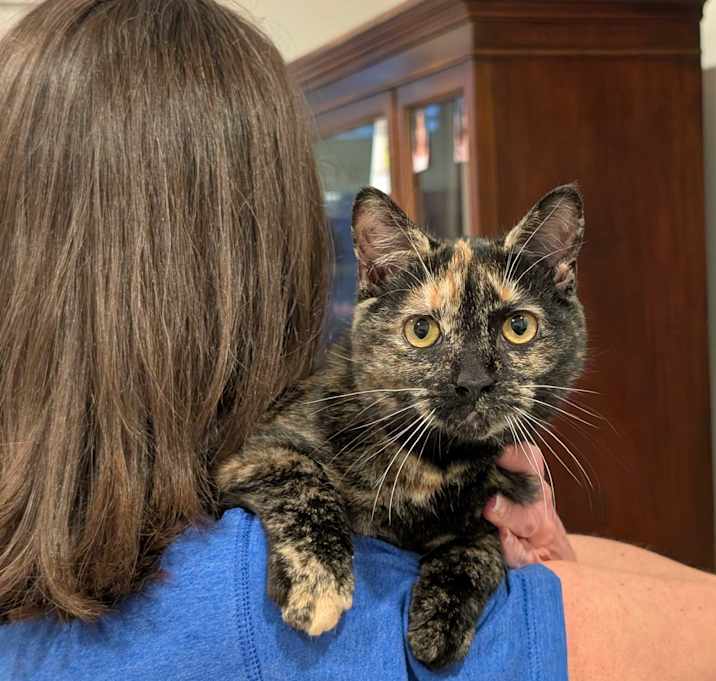 Photo of Arabella-Soft Sweetie