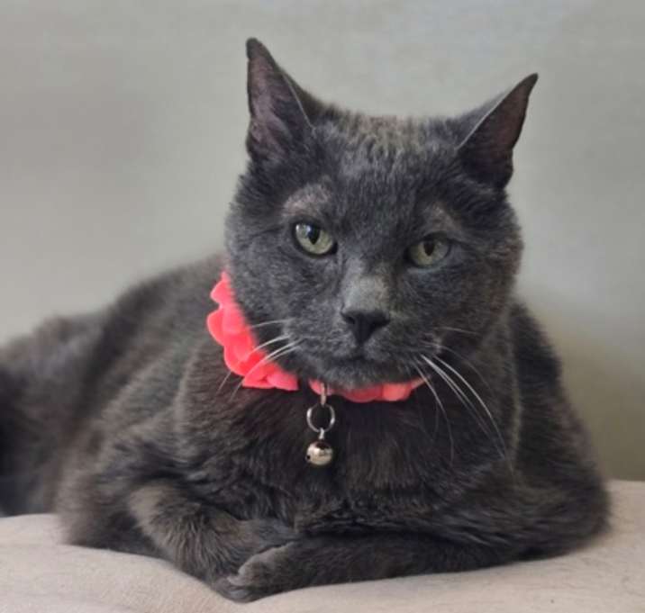 Photo of Mildred