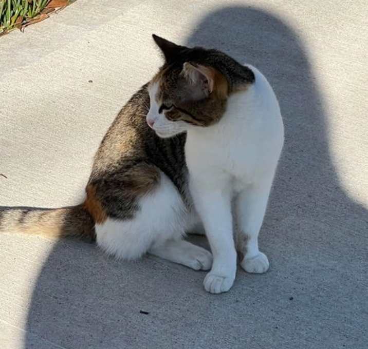 Photo of Cassy
