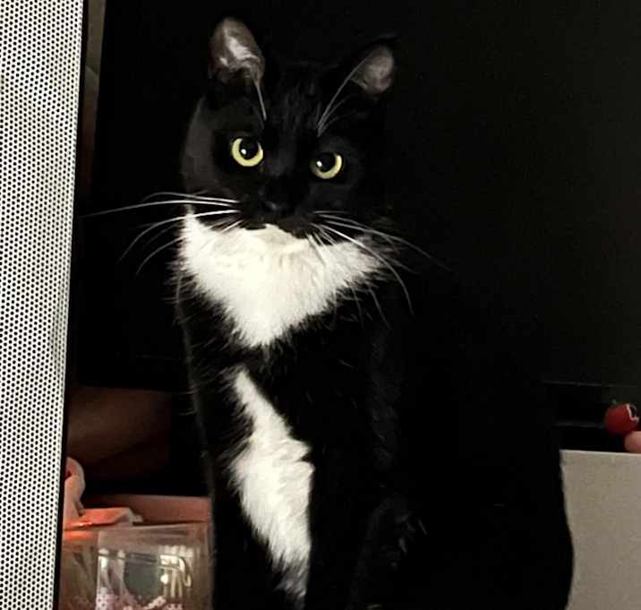 Photo of Gigi