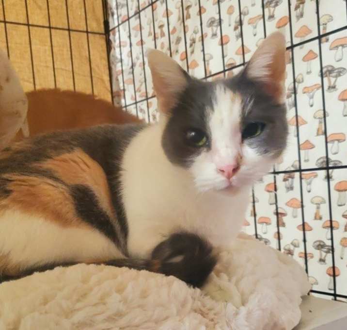 Photo of Minnie