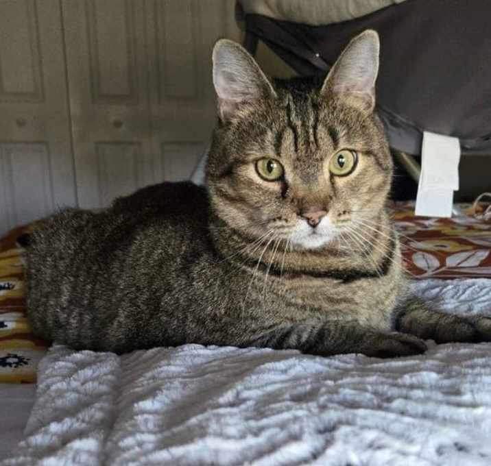 Photo of Bella