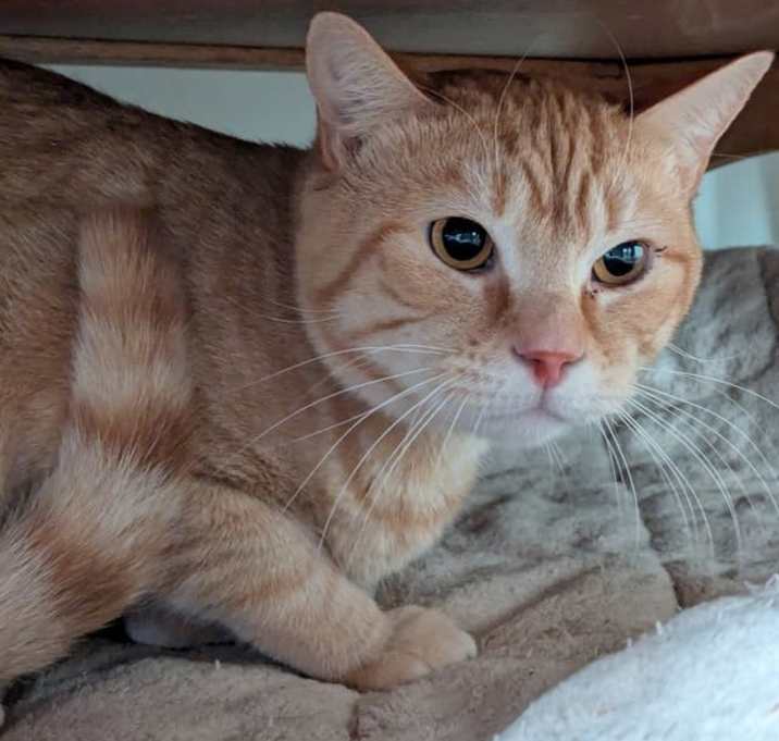 Photo of Wally