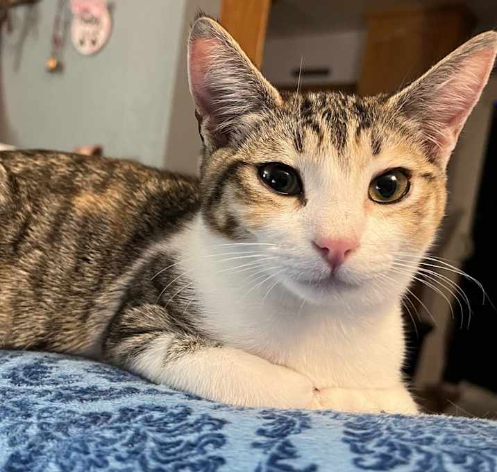 Photo of Noelle