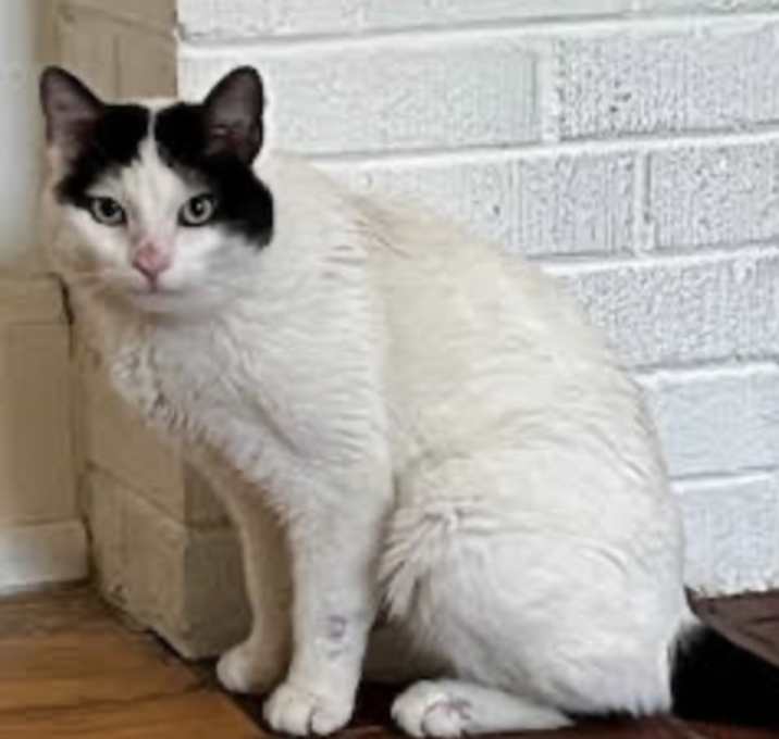 Photo of Tucker