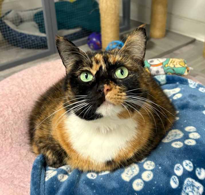 Photo of Miss Pat