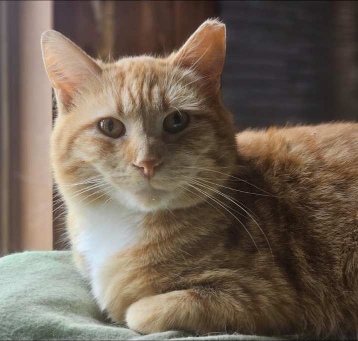 Photo of OJ