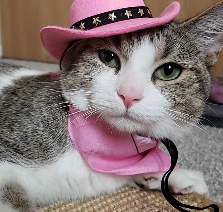 Photo of Amber