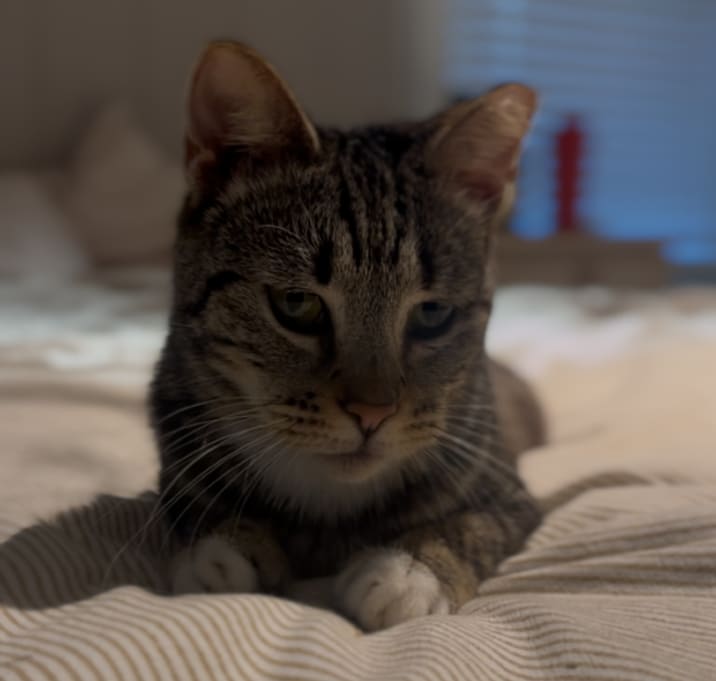 Photo of Asher
