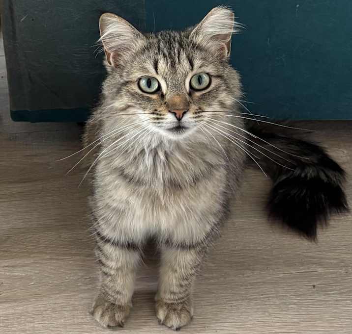 Photo of Darla