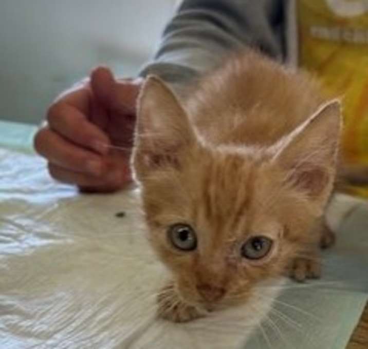 Photo of Gus