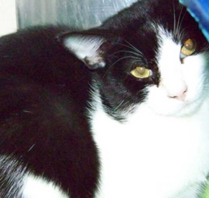 Photo of Marley