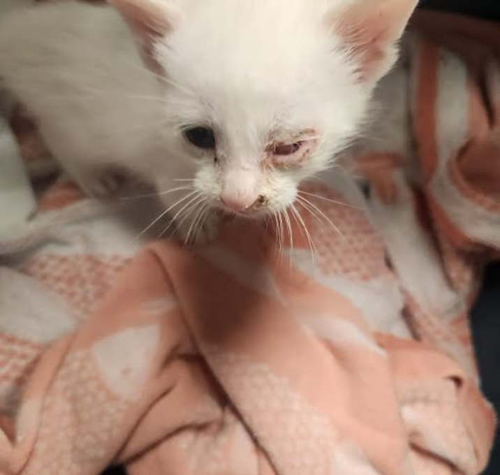Photo of *SNUGGLES