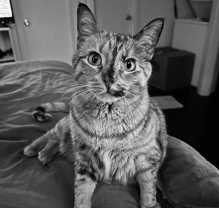 Photo of LuCinda Spice
