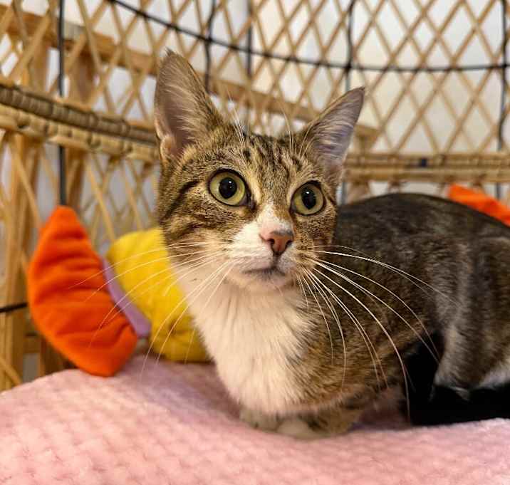 Photo of Delilah Lull