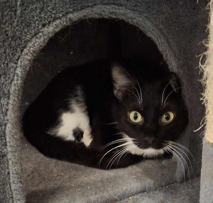Photo of Boots