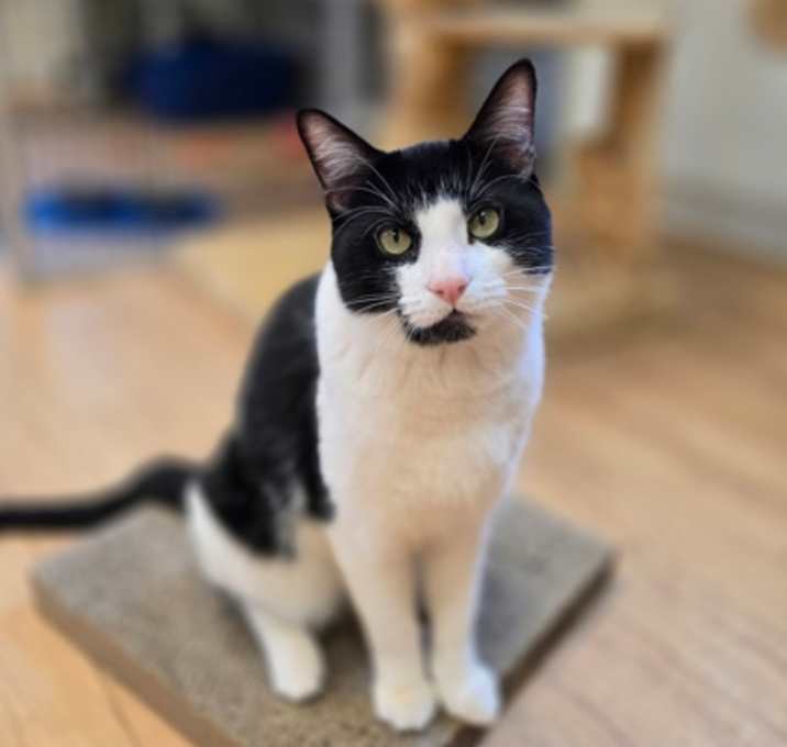 Photo of Kane