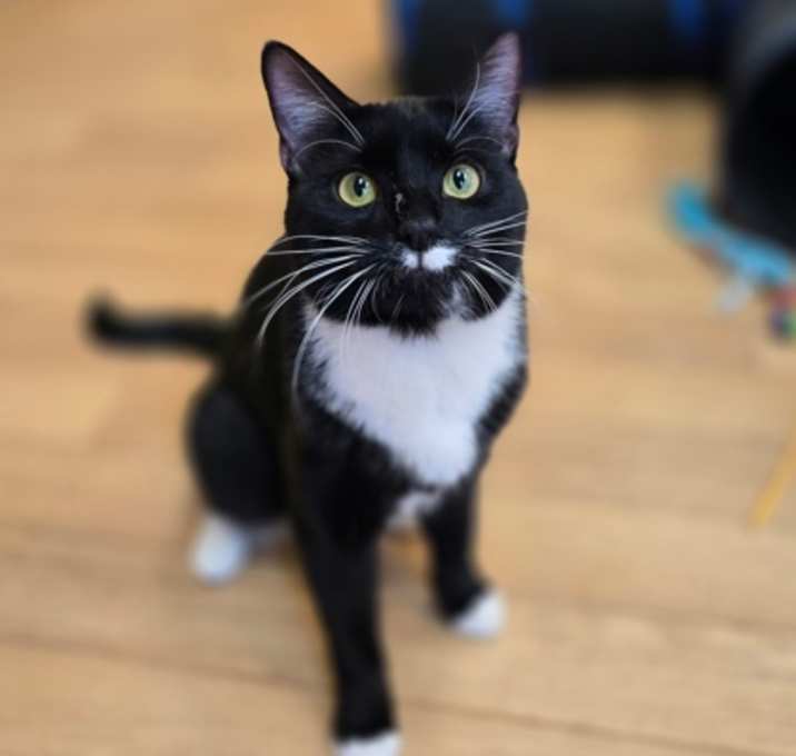 Photo of Knox