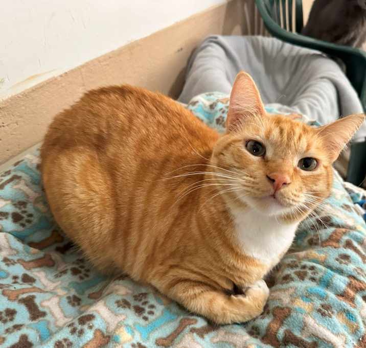 Photo of Marco