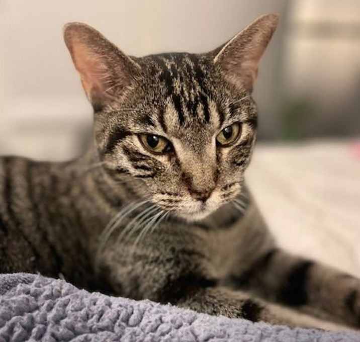 Photo of Gucci II