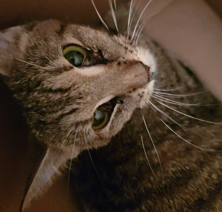 Photo of Lucy
