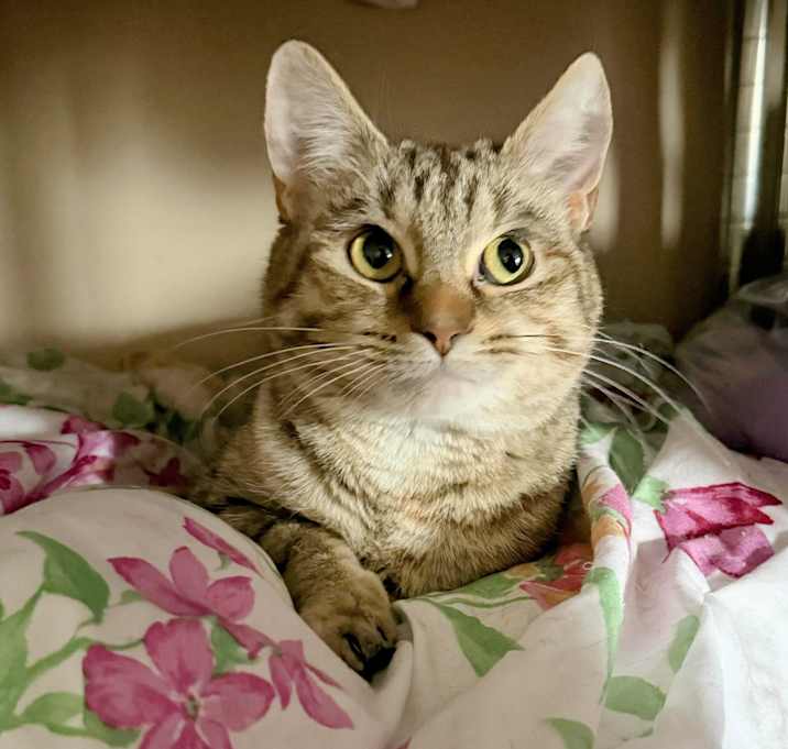Photo of Fiona