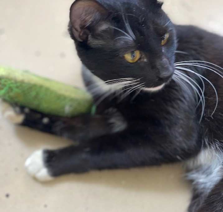 Photo of Max