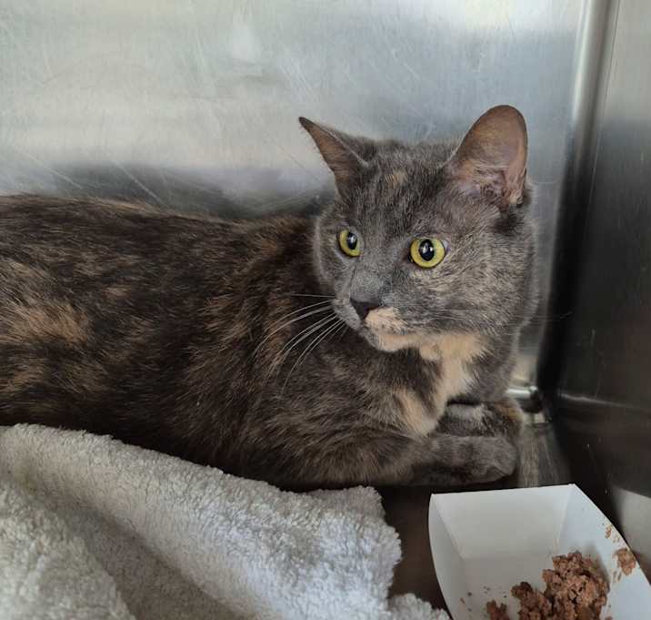 Photo of Mitzi