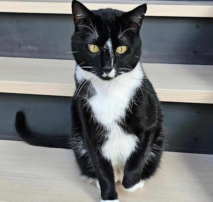 Photo of Fitz