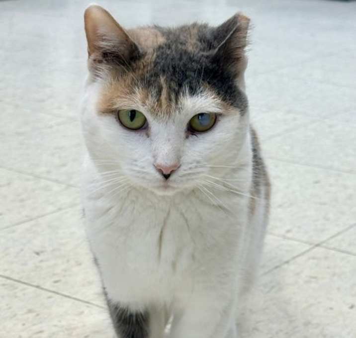 Photo of Claudette