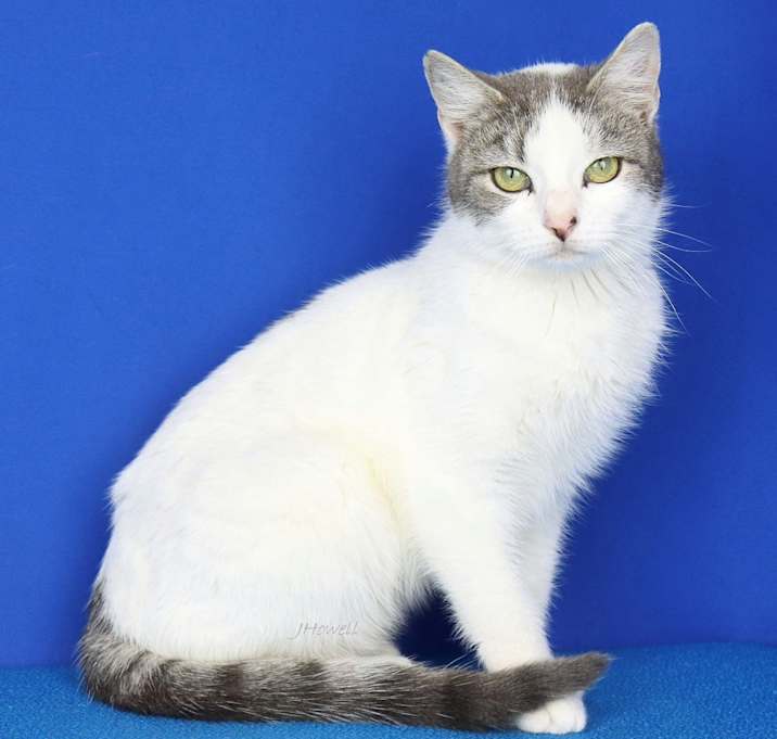 Photo of Ivy- 012206T