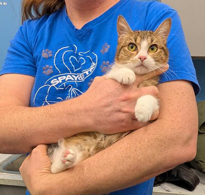 Photo of Orphan Annie