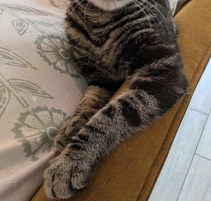 Photo of Winston