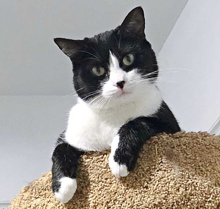 Photo of Stella