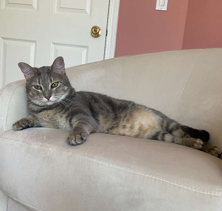 Photo of Sebastian