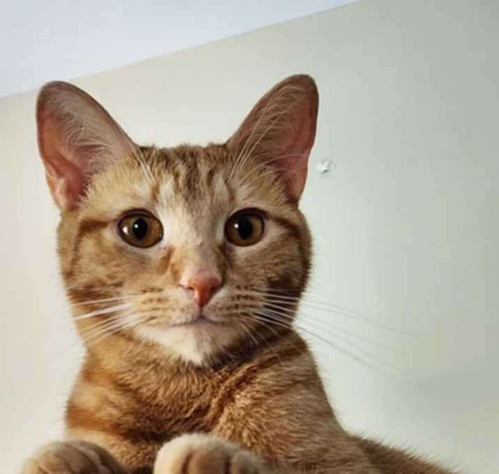 Photo of Dottie