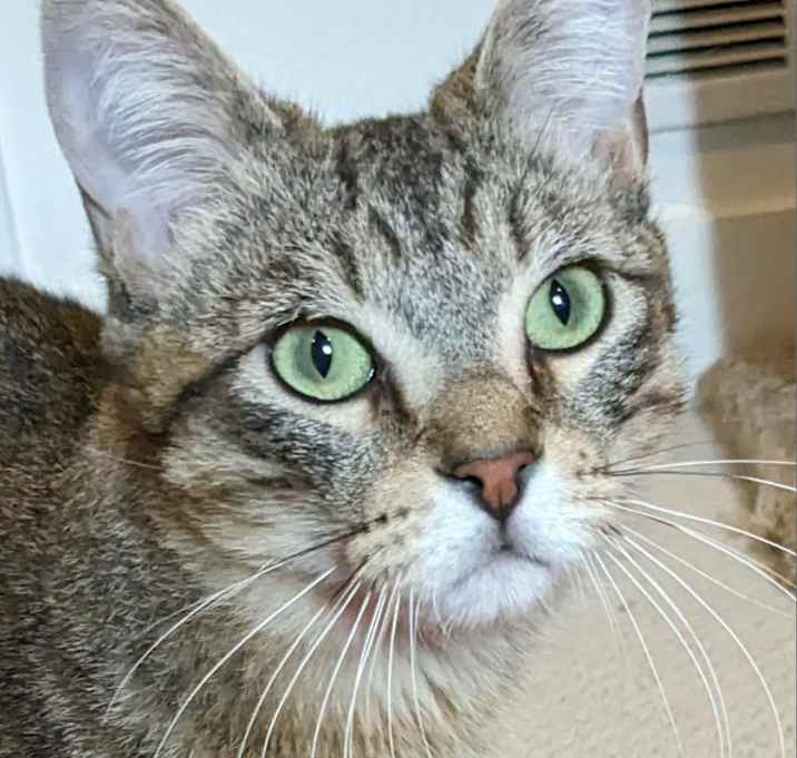 Photo of BIANCO